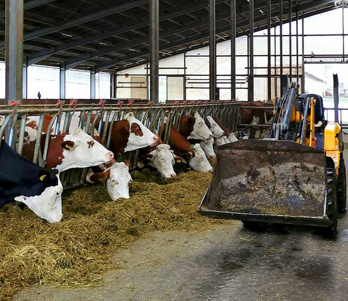 Certificare BIO pentru fermele USAMV Cluj-Napoca