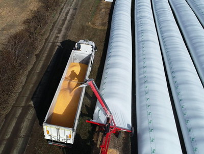 Top 3 cereale si furaje depozitate in silobag, in 2020