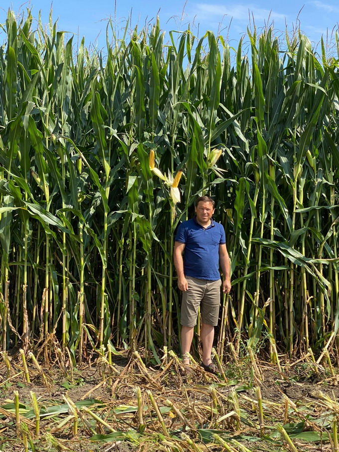 Hibrizi de porumb siloz Pioneer - P0725 - 7 Nagy Tamas