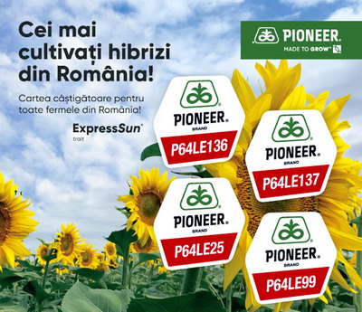 Sistemul ideal de cultura la floarea soarelui: tehnologie adaptata, hibrizi adaptati