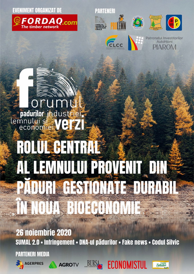 Urmeaza Epoca Lemnului - afis