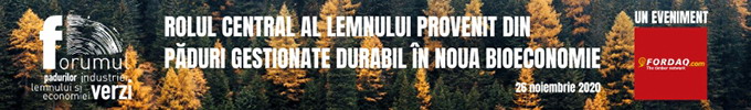 Urmeaza Epoca Lemnului - directiile europene pun resursa regenerabila a padurilor in centrul strategiilor pentru atingerea obiectivelor Pactului Verde European de combatere a schimbarilor climatice