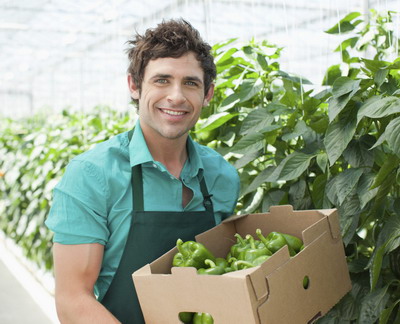 Proiecte de finantare: Care sunt cele mai solicitate tipuri de exploatatii de catre tinerii fermieri?