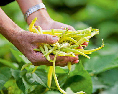 Lidl dezvolta primul standard pentru conservarea biodiversitatii in agricultura conventionala