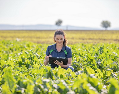 Agra Asigurari lanseaza polita Sfecla de Zahar Universal, subventionabila de AFIR prin Submasura 17.1