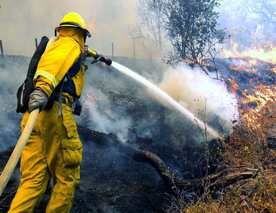 Arderea miristilor si pericolul extinderii incendiului