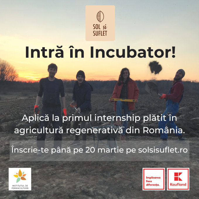 Incubator Sol si Suflet