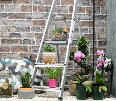 La Leroy Merlin, pasionatii de gradinarit pot gasi toate produsele si solutiile pentru proiectele lor