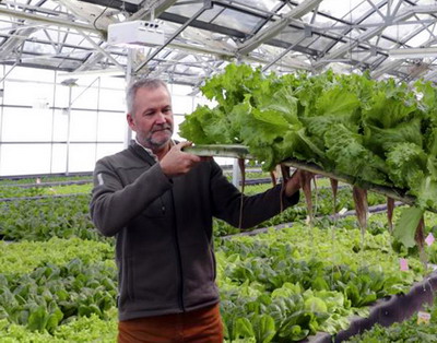 Idei profitabile de afaceri in agricultura pe suprafete mici