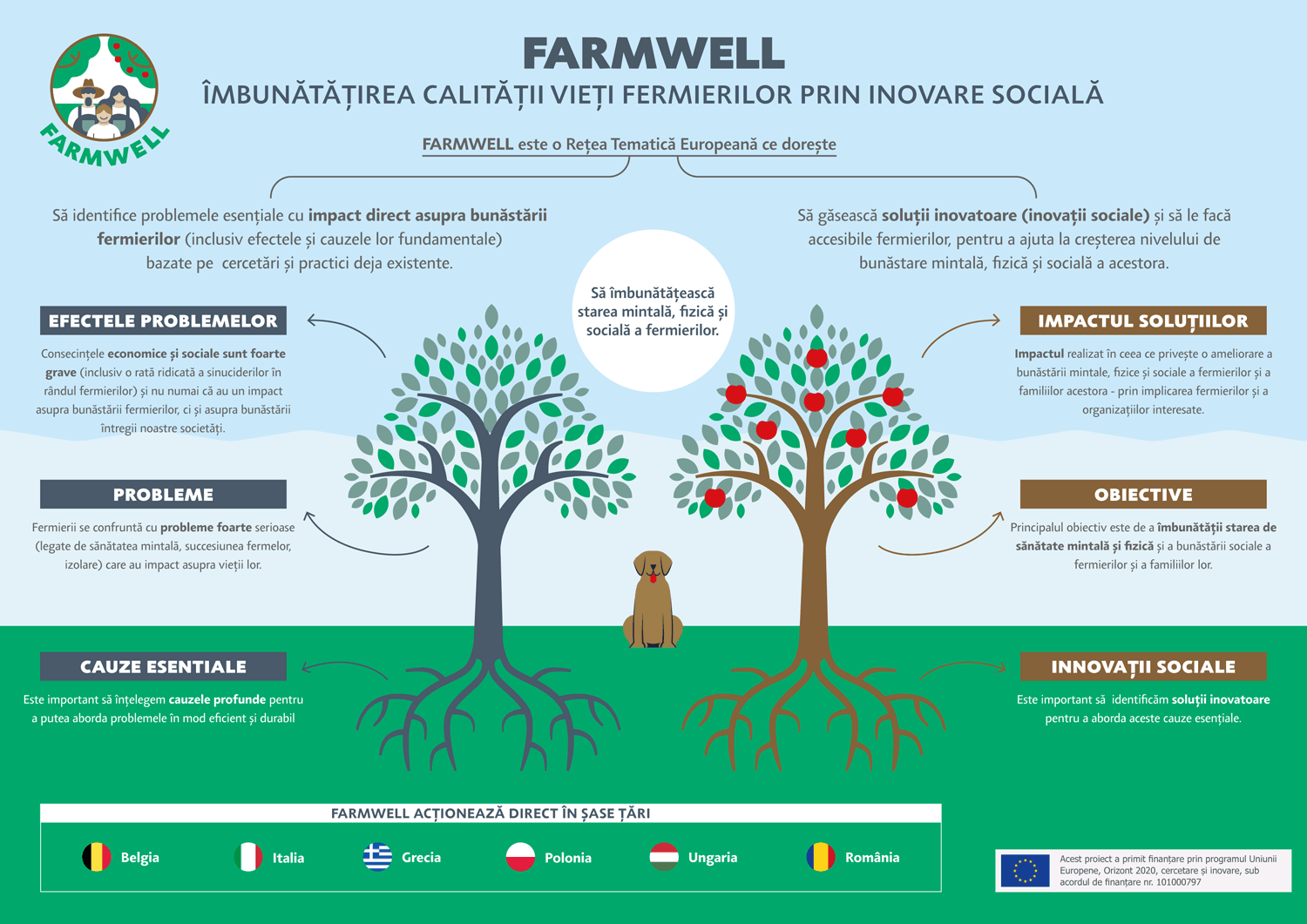 FARMWELL Leaflet RO