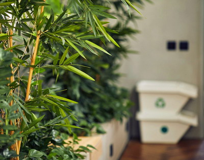 Ce servicii ofera o agentie de mediu si de ce este nevoie de ele?