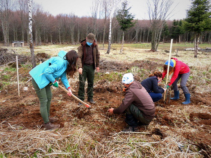 Voluntari refacere suprafete fauna salbatice Maramures 2