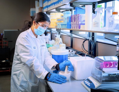 Corteva Agriscience si Bejo semneaza un acord privind editarea genomului pentru ameliorarea legumelor