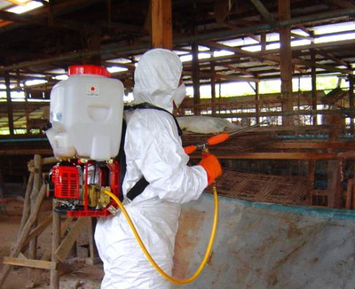 Dezinfectia in Fermele de Animale – Mijloc esential de prevenire si combatere a bolilor transmisibile la animale