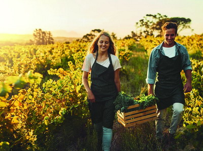 Ghidurile solicitantului pentru Submasurile 9.1, 4.2, si 16.4/ 16.4a [consultare publica]