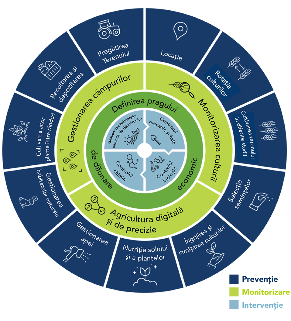 Managementul Integrat al Daunatorilor - infografic
