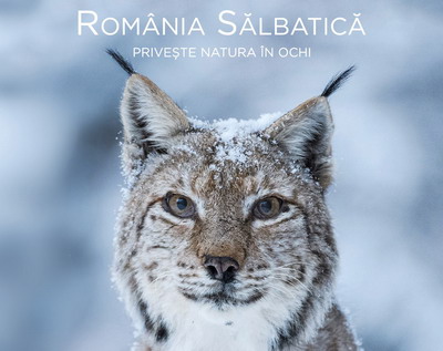 Romania Salbatica, cel mai vast proiect de film documentar desfasurat in tara noastra, va avea premiera nationala la TIFF