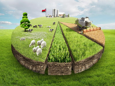 Stadiul desfasurarii Recensamantului General Agricol