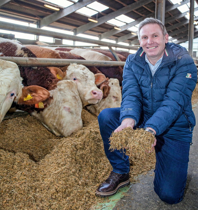 tehnologia SHREDLAGE