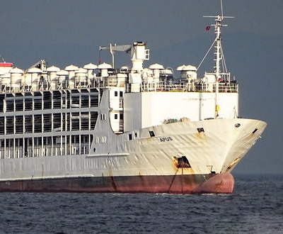 S-a confirmat sosirea navei cu ovine in portul Aqaba – transport fara incidente