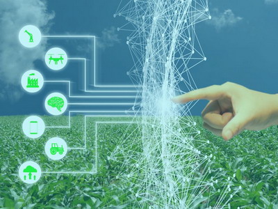 Cum Internetul poate revolutiona agricultura