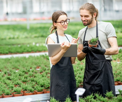 167 de milioane de lei au ajuns la micile afaceri prin microfinantarea EaSI