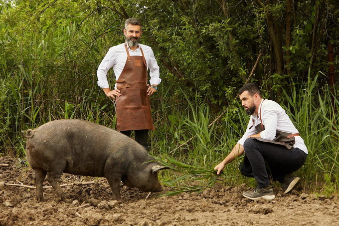 Mosia Chindia - porci pasture raised