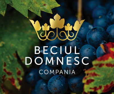 Vincon devine Beciul Domnesc