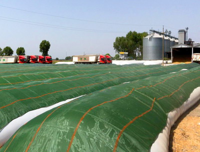 10 puncte de comparatie intre siloz, hala si silobag