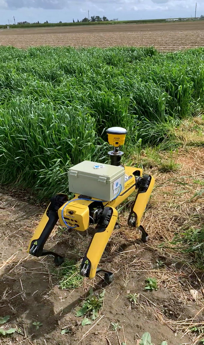 Corteva Agriscience -  robotul Spot de la Boston Dynamics - culturi agricole - 1