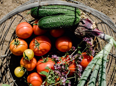 Judetele cu cei mai multi cultivatorilor de legume care au beneficiat de sprijin financiar in 2021