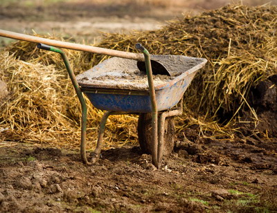 Noi prevederi privind depozitarea gunoiului de grajd pentru tinerii fermieri si exploatatiile mici care acceseaza finantare