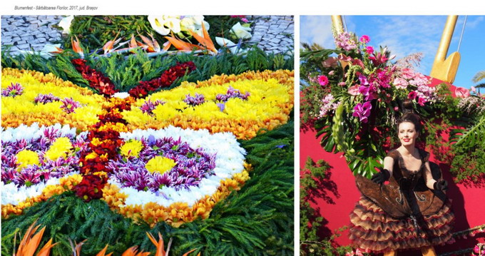 Targul de Flori 2021 Blumenfest 1