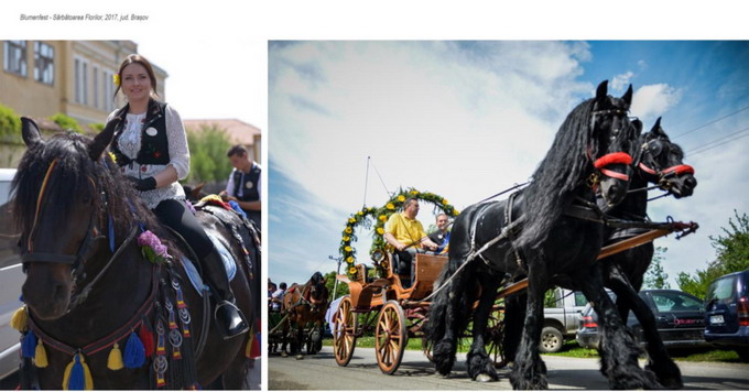 Targul de Flori 2021 Blumenfest 7