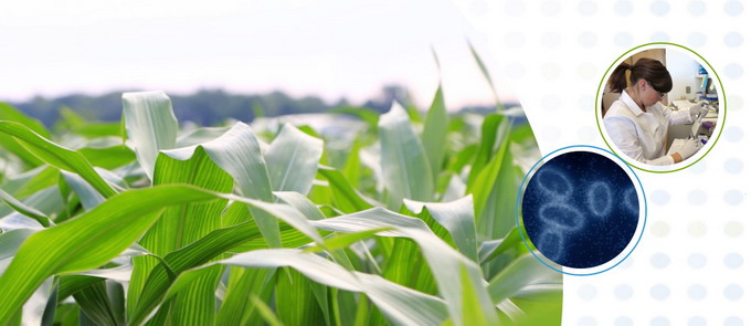 Corteva Agriscience extinde acordul cu Elemental Enzymes