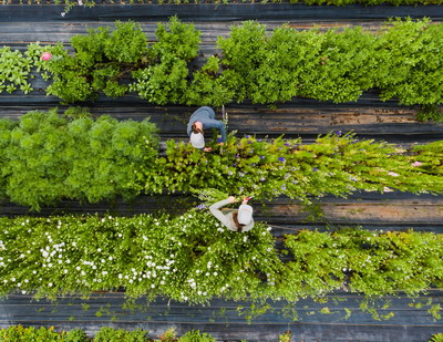 Inter-Bio & Proecologic Sistem: Planul National de Actiune pentru Agricultura Ecologica, demersuri tardive si putin coordonate