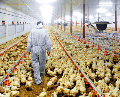 S-a lansat sesiunea pentru investitii in instalatii / echipamente de asigurare a biosecuritatii si infrastructurii sanitare