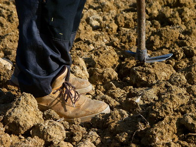 Asociatia ‘Granarii’: Agricultura din UE nu poate face fata masurilor implementate prin strategia „Farm to Fork”