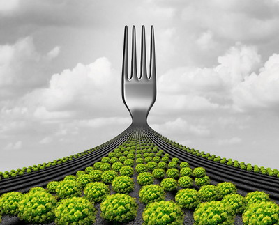 Asociatiile europene solicita CE sa realizeze un amplu studiu de impact privind strategia europeana „De la ferma la consumator”