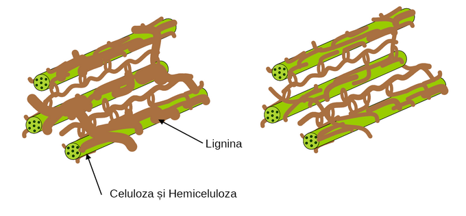 Fiber Technology - grafic