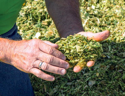 Suprematia inoculantilor Fiber Technology din portofoliul Corteva Agriscience