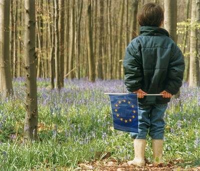 Strategia UE privind padurile a obtinut rezultate pozitive, dar limitate