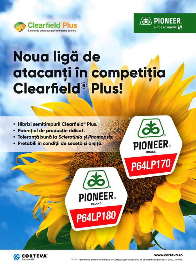 P64LP170 si P64LP180  Hibrizi floarea-soarelui tehnologia Clearfield Plus
