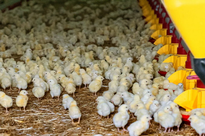 Vizita premierului Nicolae-Ionel Ciuca in judetul Valcea 1