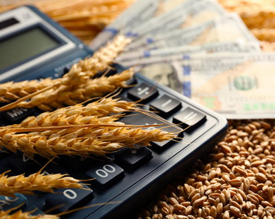 Ioana Arsenie, Strateg Financiar: Cum reinvestesc fermierii profitul suplimentar dintr-o ferma?