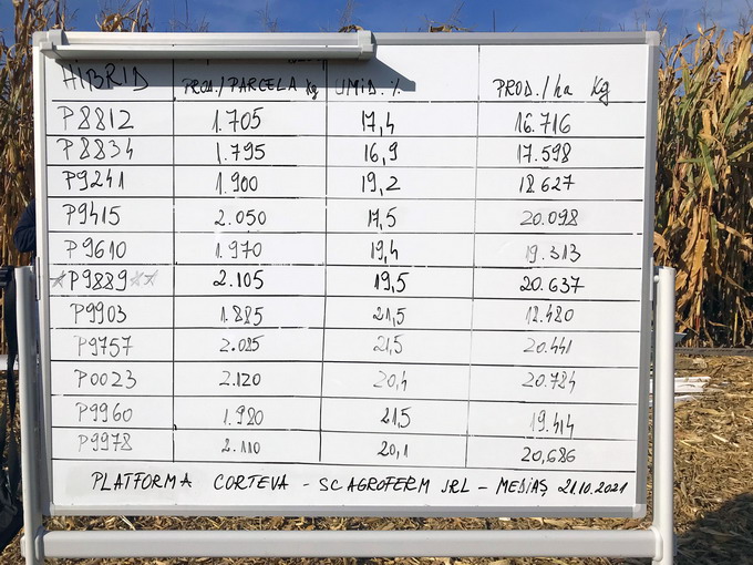 Hibridul de porumb Pioneer P9889 - tabel productii