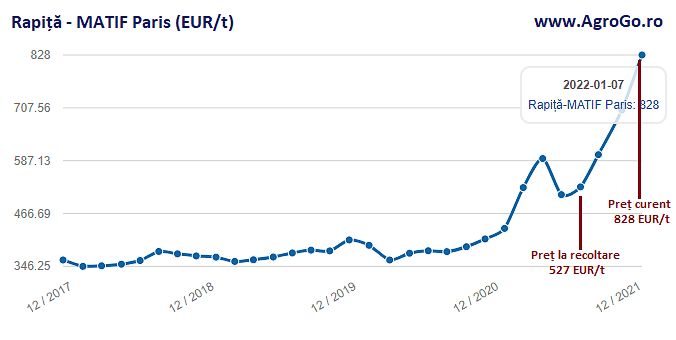 Sezonul rapitei - infografic