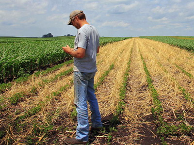 Beneficiarii PNDR cu polite de asigurari de la City Insurance trebuie sa prezinte o noua garantie valida