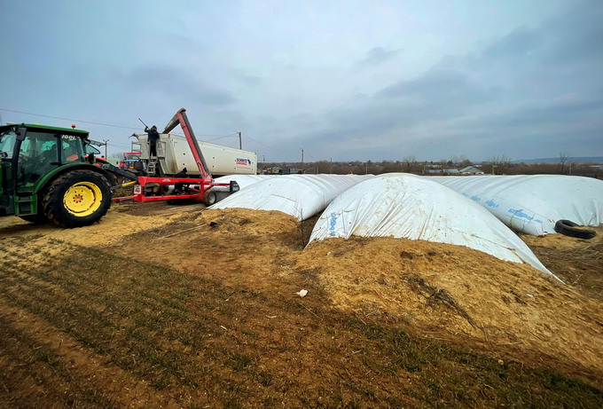 Depozitare grau in silobag 2021 b