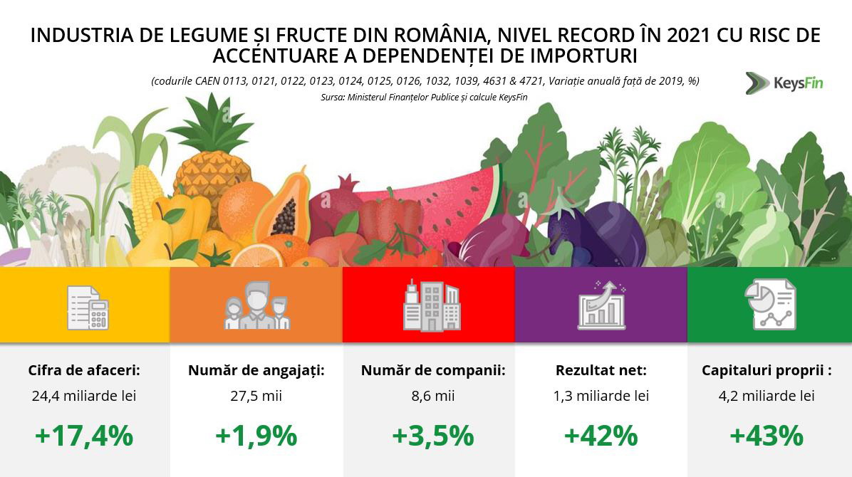 KeysFin - industria de legume si fructe din Romania - indicatori-principali